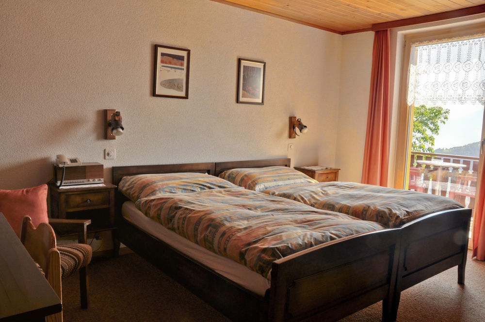 Hotel Alpenblick Ценегген Экстерьер фото